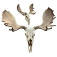 thumbnail image 4 of Ebros Czar North American Bull Moose Skull Wall Decor 22"Wide Wall Mount Plaque Sculpture Figurine, 4 of 5