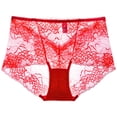 thumbnail image 5 of Fewfanhot Women's Lace High-Waisted Briefs Breathable Floral Lace Panties Stretch Fit Elegant Comfy Underwear for Daily & Special Occasions, Plus Size Available, 5 of 5
