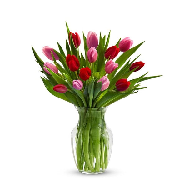 From You Flowers - Red & Pink Tulips - 15 Stems for Birthday, Anniversary, Get Well, Congratulations, Thank You, All Occasions