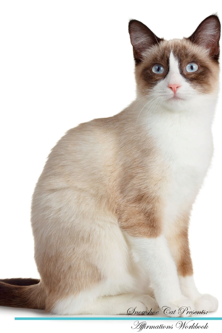 Snowshoe Cat Affirmations Workbook Snowshoe Cat Presents : Positive and Loving  Affirmations Workbook. Includes: Mentoring Questions, Guidance, Supporting  You. 