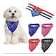 thumbnail image 2 of Collar Con Paliacate Para Perro/gato Diferentes Medidas, 2 of 3