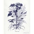 thumbnail image 2 of Babbitt, Gwendolyn 15x18 Black Ornate Wood Framed with Double Matting Museum Art Print Titled - Indigo Botanical III, 2 of 4