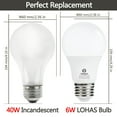 thumbnail image 2 of Dusk to Dawn LED Light Bulb, 6 Watts 40W Equivalent Automatic on/off Light Sensing, A19 LED Soft White 2700K 500LM E26 Base Indoor/Outdoor Security Lighting for Porch, Hallway, 4 Pack, 2 of 8
