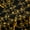 Gold, variant on Feelyou Black Boho Damask Black Out Curtains, Gothic Crow Curtains Pack of 2 (42x63 Each)