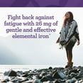 thumbnail image 3 of INNATE Response Formulas Iron Response - Daily Supplement - Vegan, Non-GMO - 90 Servings, 3 of 8