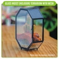 thumbnail image 3 of NCYP Mini 5x7 inches Spider Enclosure Terrarium with Vents, Octagon Shape Indoor Insect Pet Habitat, Terrarium Only, 3 of 13