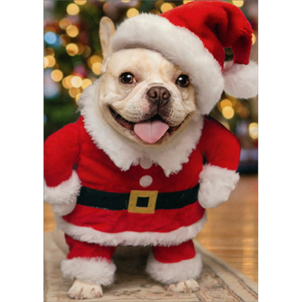 Avanti Press Puppy Wearing Santa Hat and Suit Cute Humorous Funny Dog Box of 10 Christmas