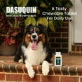 thumbnail image 4 of Nutramax Dasuquin for Small to Medium Dogs, Joint Health Supplement, Contains Glucosamine for Dogs, Plus Chondroitin, ASU, MSM and More, Supports Healthy Joints, Chewable Tablets, 84 Count, 4 of 11