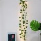 thumbnail image 3 of Guirnalda de luces LED con hojas, guirnalda verde con pilas, 2M, 20LED, decoración de pared de vid, 3 of 5