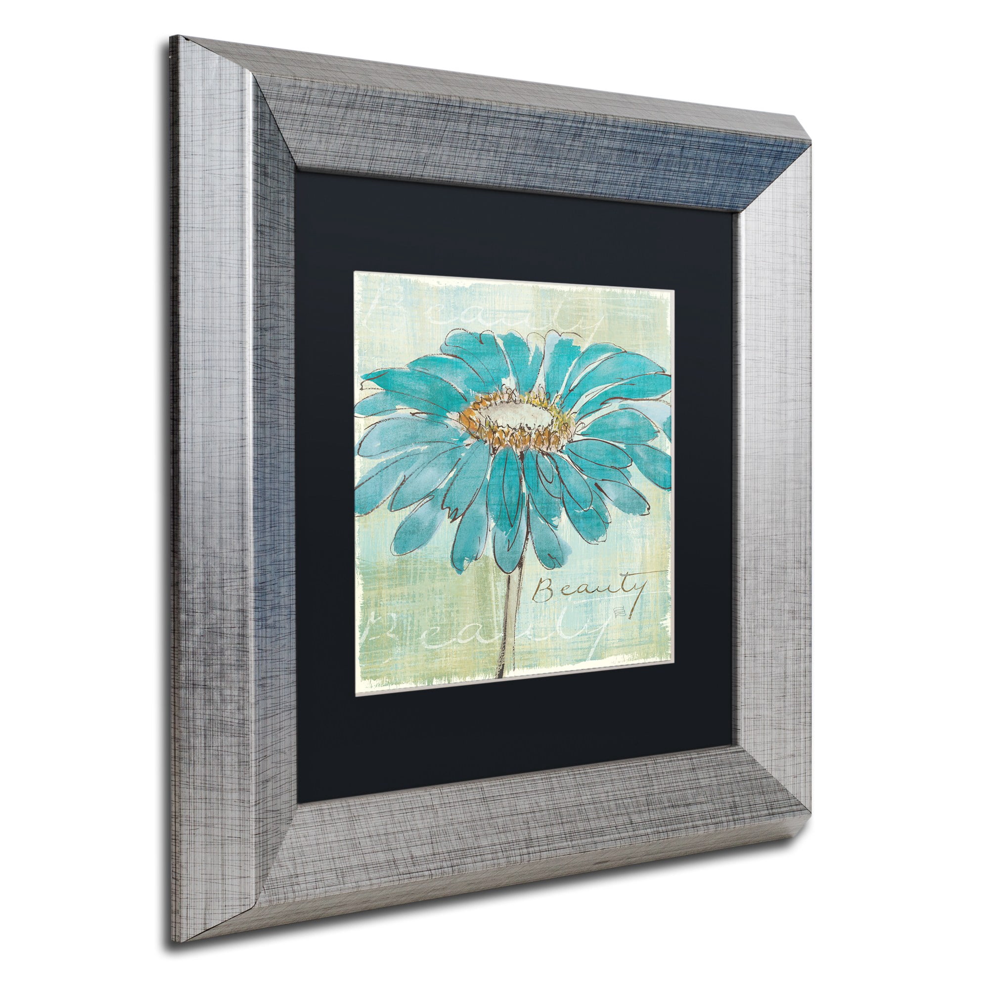 Trademark Fine Art "Spa Daisies I" Canvas Art by Chris Paschke Black Matte, Silver Frame