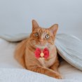 thumbnail image 2 of Mobutofu 1Pcs Polyester Collar for Dogs and Cats with Bell Sound 7.9-11.8in, 2 of 8