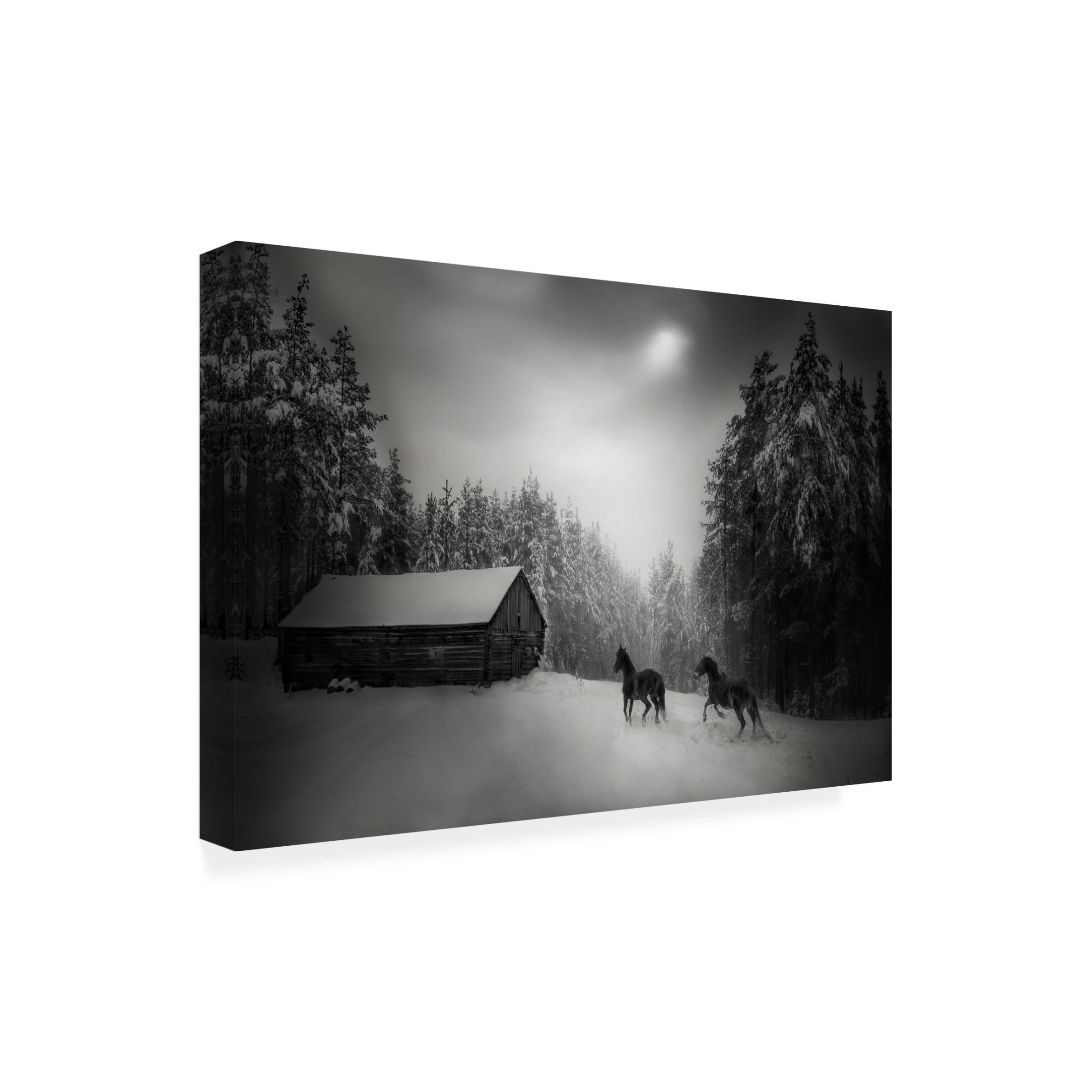 Canvas Wall Art - Todor Tanev 'Paddock Horses' Wall Art for Living Room, Bedroom, or Office D?cor by Trademark Fine Art - 24 x 16 Inches