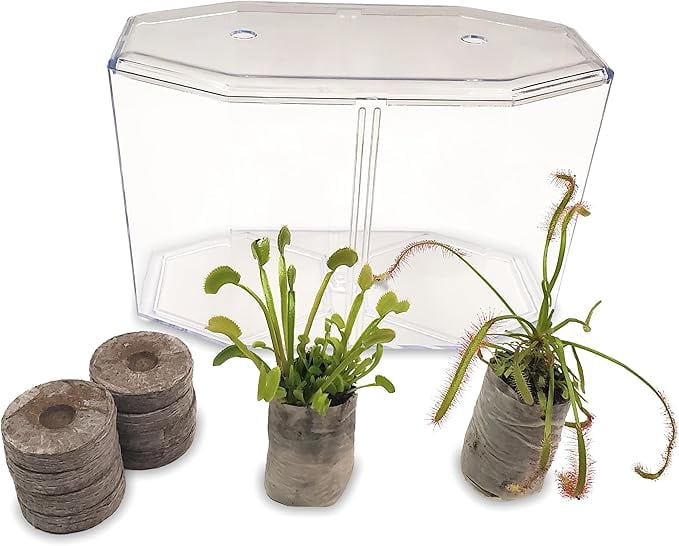 Live Venus Flytrap & Sundew Kit with Carnivorous Plant Food, Tweezers, Peat Pellets & 7.5" Clear Tank – Bug-Eating Indoor STEM Plant Gift Fly Trap