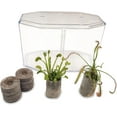 thumbnail image 6 of Live Venus Flytrap & Sundew Kit with Carnivorous Plant Food, Tweezers, Peat Pellets & 7.5" Clear Tank – Bug-Eating Indoor STEM Plant Gift Fly Trap, 6 of 6