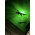 thumbnail image 5 of Salt Water Approved & Barnacle Burning Bulb, Underwater Dock Light, Extreme Brilliant 21,000 Lumen Kit, 5 of 9