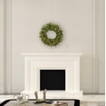 thumbnail image 3 of Vickerman 24" Cashmere Artificial Christmas Wreath with Warm White Dura-lit LED Lights, 3 of 3