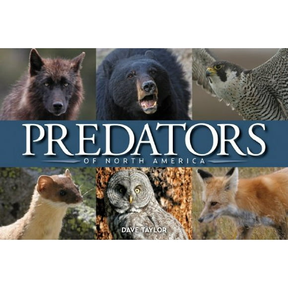 Predators of North America
