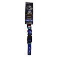 thumbnail image 1 of Italia - Adjustable Dog Collar (Medium - Fits 10" to 16"), 1 of 3