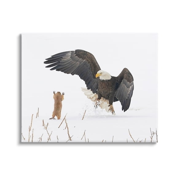 Stupell Industries Prairie Dog & Eagle Animals & Insects Photography Gallery Wrapped Canvas Art Print Wall Art, 20 x 16