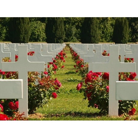 Slate Headstones For Graves Canvas Print Cemetery Douaumont Ossuary Graves France Headstone Stretched Canvas 10 x 14 ()