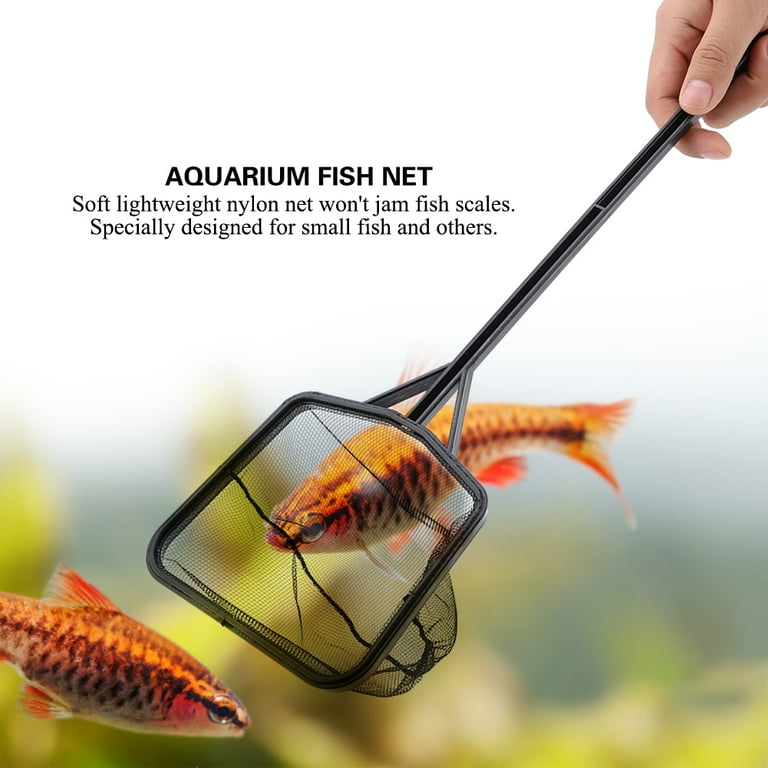 4 in nylon net fish Pawfly Inch Aquarium with Braided Metal Handle Small Square Net with Soft Fine Mesh Sludge Food Residue Wastes Skimming Cleaning Net for Fish Tanks Small Koi Ponds and lasting use Mgaxyff Releasing, Fish Net for