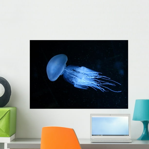Jellyfish Wall Mural by Wallmonkeys Peel and Stick Graphic (24 in W x 17 in H) WM115870