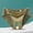 🔥 Green, variant on Plus-Size Low-Rise Seamless Ice-Silk Thong Panty Soft Breathable Nylon Fabric No-Show Design Stretch Waist Cotton Lined Crotch Comfort Underwear Sexy Lace Accent Everyday Wear