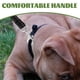 thumbnail image 3 of Correa de adiestramiento para pasear perros, cuerda de adiestramiento para perros, correa para pasear perros, accesorio para mascotas, 3 of 8