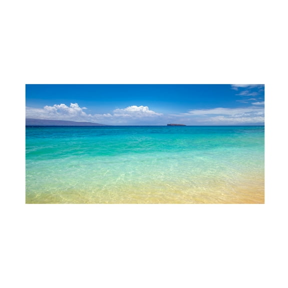 Trademark Fine Art Pierre Leclerc Blue Beach Maui Canvas Wall Art - 16x32