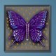 thumbnail image 3 of Pintura de diamante 5D Wdftyju DIY Mariposa Libélula K277, 3 of 9
