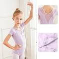 thumbnail image 3 of Emy Dola Short Sleeve Ballet Leotards for Girls Toddler Mesh Leotard with Tutu Skirt Toddler Kids Ballerina Dance Tutu Dress, 3 of 6