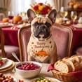 thumbnail image 4 of AYktou Fall Dog Bandanas, Thanksgiving Pet Bandana Reversible Adjustable Dog Neck Scarf, Cute Washable Pet Scarves for Halloween Holiday Parties Photography Medium Large Dogs Festive Dress Up, 4 of 6