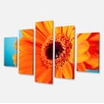 thumbnail image 2 of Orange Daisy Gerbera Flower Close up - Flowers Canvas Wall Artwork, 2 of 3