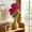Hot Pink, variant on 1Pcs Multicolor Artificial Lily Flowers 17.32 Inch Realistic Fabric Plastic Simulation Floral for Home Living Room Bedroom Office Wedding Easter Party Decoration,Yellow