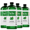 thumbnail image 1 of Natures-Star Tea Tree Essential Oil - Therapeutic Grade Essential Oil for Aromatherapy, Diffuser, Soap & Candle Making, 1 of 4