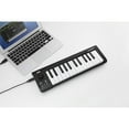 thumbnail image 4 of Korg MICROKEY25 Microkey25 Ultra-Compact Keyboard & USB Controller, 4 of 6