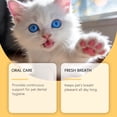 thumbnail image 6 of Dog and Cat Dental Spray, Pet Oral Care for Bad Breath, Plaque and Tartar Remover, Teeth Cleaning Spray, 30ml, 6 of 8