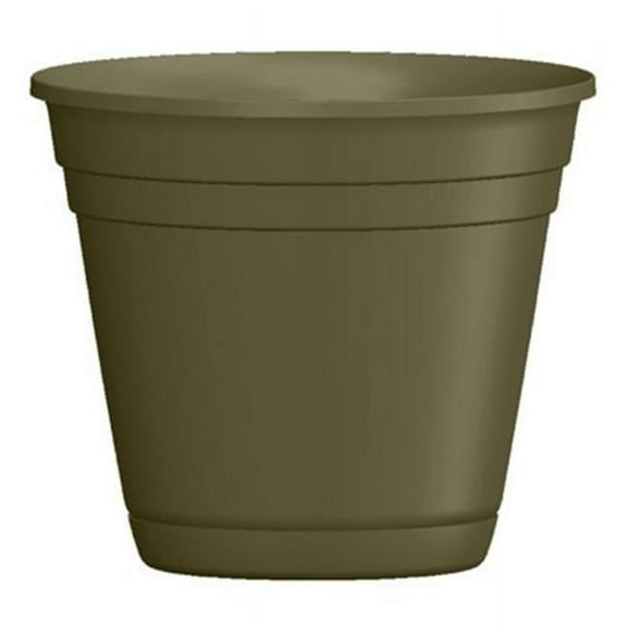 Southern Patio RR0624FE Rolled Rim Planter, 5.6 in H, Round, Plastic, Fern