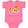 thumbnail image 3 of Inktastic I'm Going to Be a Big Sister Girls Baby Bodysuit, 3 of 5