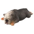 thumbnail image 1 of Modelo de mascota plástico realista vida silvestre animal niños niño figura juguete decoración del hogar regalo, 873 Inevent FN000219-03, 1 of 7
