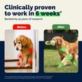 thumbnail image 5 of (5 pack) Vetnique YuMOVE Vet Strength Hip & Joint Supplement for Dogs with Glucosamine, Seafood Flavor, 60ct Soft Chews, 5 of 12