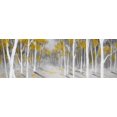 thumbnail image 3 of Yellow birch forest - 16"x48" canvas - Print on demand, 3 of 5