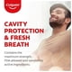 thumbnail image 4 of Pasta de dientes Colgate Sensitive Everyday Protection 160g, 4 of 8