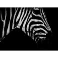 thumbnail image 2 of Phillip, Jamie 32x25 Gold Ornate Wood Framed with Double Matting Museum Art Print Titled - Africa Savanna 2, 2 of 4