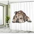 thumbnail image 5 of Ambesonne Bulldog Shower Curtain, Single Hand Drawn Bulldog, 69"Wx70"L, Charcoal Grey and White, 5 of 5