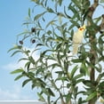 thumbnail image 2 of 7ft de altura faux olive tree - realistic artificial olive tree con natural wood trunk y lifelike fruits, uv resistant, potted para home, oficina, y sala de estar indoor decor, 2 of 7