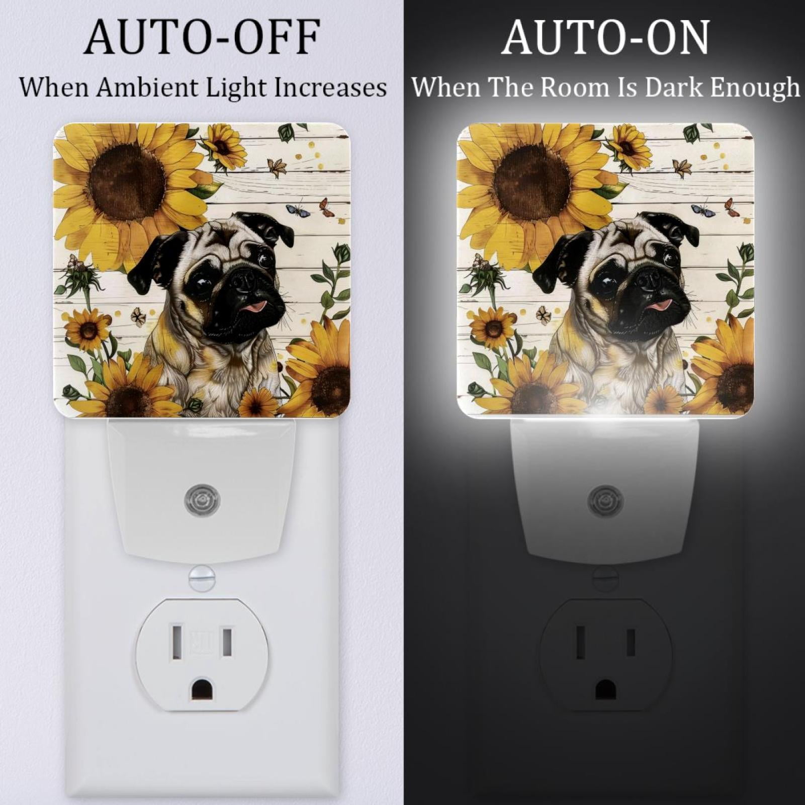 PhooArto Sunflower Pug Dog Wooden Board Plug in LED Night Light Auto Sensor Dusk to Dawn Decorative Night for Bedroom, Bathroom, Kitchen, Hallway, Stairs, Baby's Room, Energy Saving
