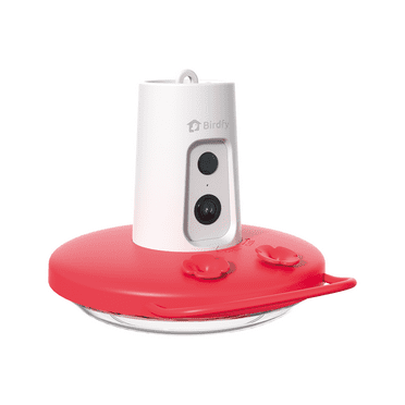 Birdfy Humming Bird Feeder with Camera, 1080P FHD Hummingbird Feeder Camera with Ant Moat, AI Identify Bird Species, Ideal Gift