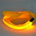 thumbnail image 4 of Safe Luminous USB Charging Led Dog Leash Accessories Lead Strip Glowing Light Up, 4 of 4
