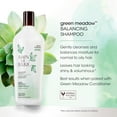 thumbnail image 3 of Bain de Terre GREEN MEADOW BALANCE SHAMPOO 400ML, 3 of 8
